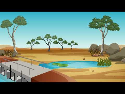 Why wetting and drying is important for the environment