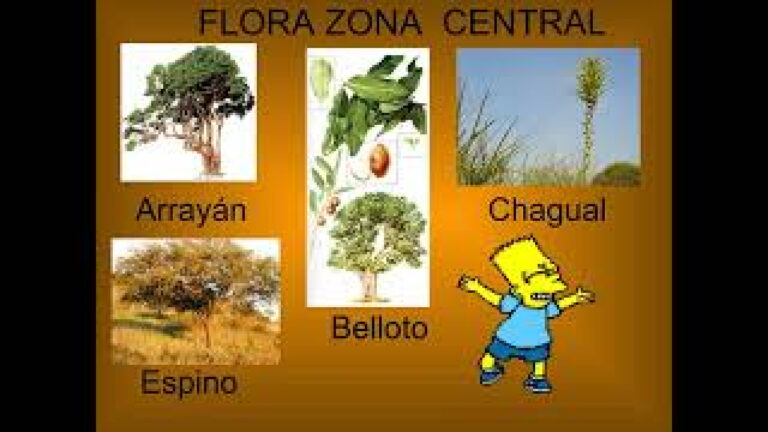 Flora Y Fauna De Chile